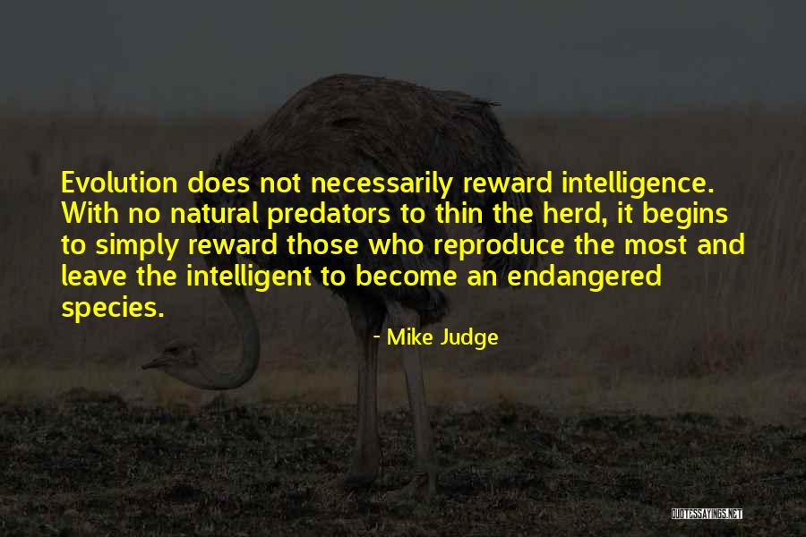 Intelligent And Intelligence Quotes By Mike Judge Intelligent And Intelligence Quotes By Mike Judge