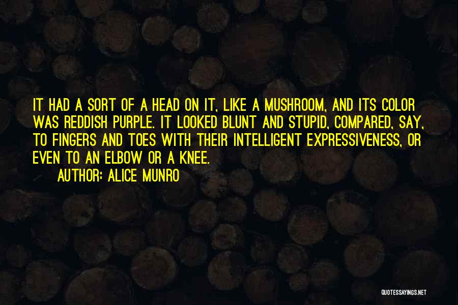 Intelligent And Stupid Quotes By Alice Munro