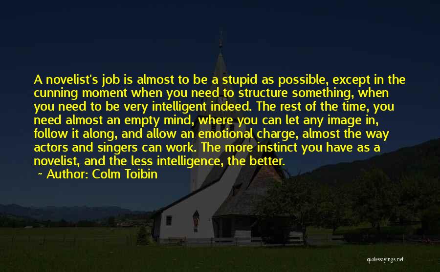 Intelligent And Stupid Quotes By Colm Toibin