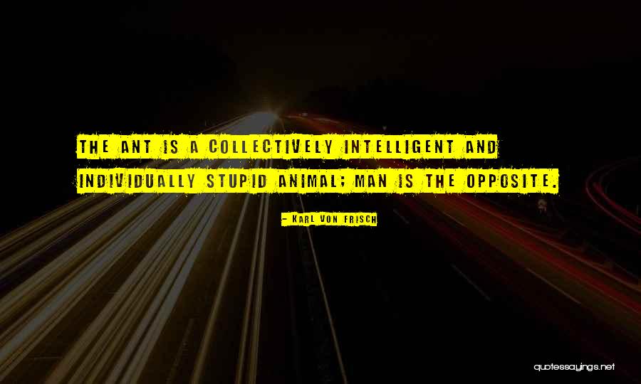 Intelligent And Stupid Quotes By Karl Von Frisch Intelligent And Stupid Quotes By Karl Von Frisch