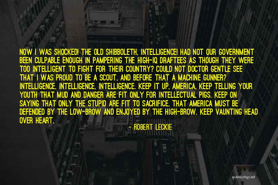 Intelligent And Stupid Quotes By Robert Leckie Intelligent And Stupid Quotes By Robert Leckie