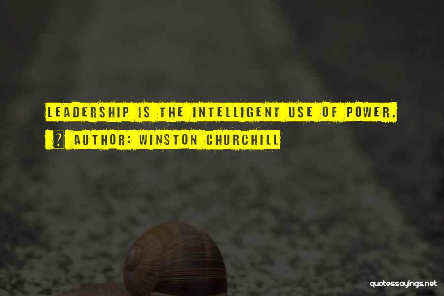 Intelligent Leadership Quotes By Winston Churchill