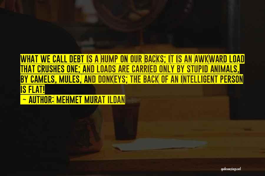 Intelligent Vs Stupid Quotes By Mehmet Murat Ildan