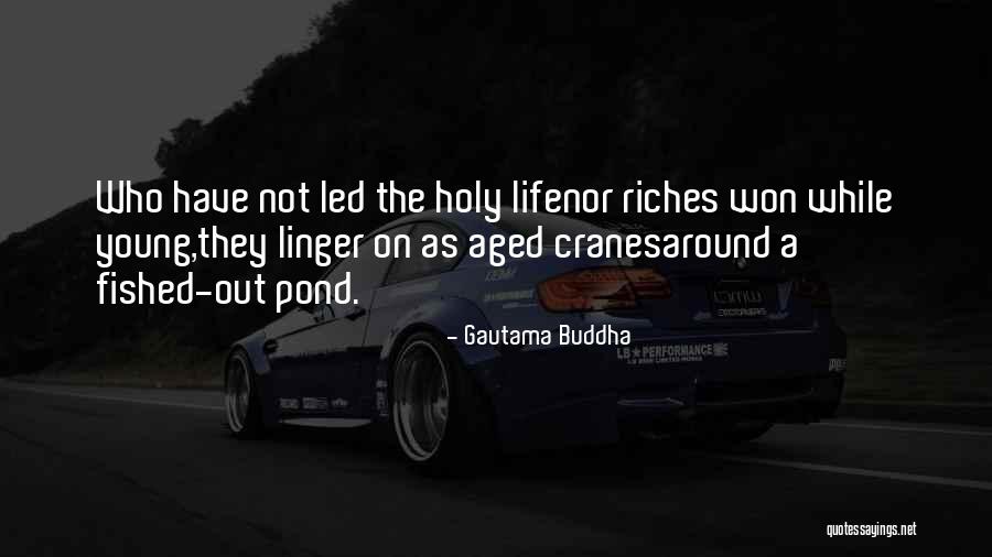 Intelligenti Pauca Quotes By Gautama Buddha Intelligenti Pauca Quotes By Gautama Buddha