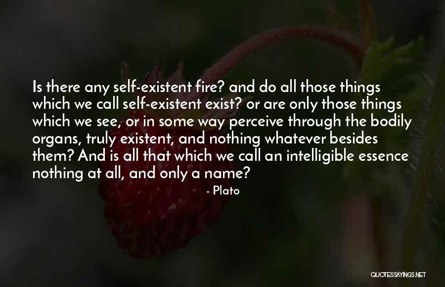 Intelligible Quotes By Plato Intelligible Quotes By Plato