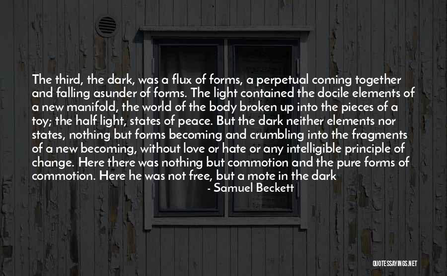 Intelligible Quotes By Samuel Beckett