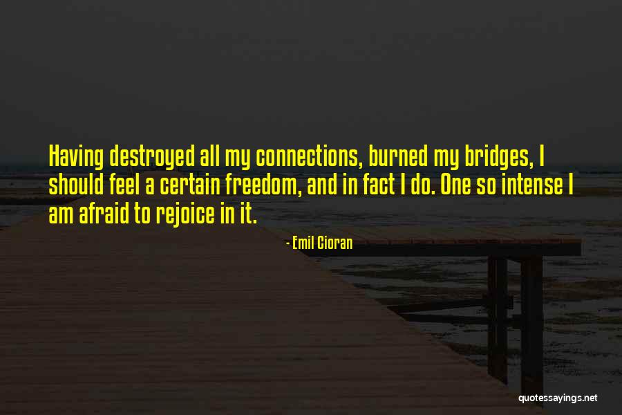 Intense Connections Quotes By Emil Cioran Intense Connections Quotes By Emil Cioran