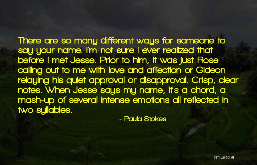 Intense Emotions Quotes By Paula Stokes