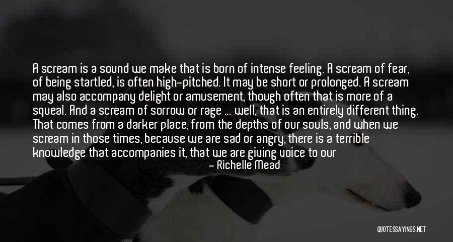 Intense Emotions Quotes By Richelle Mead