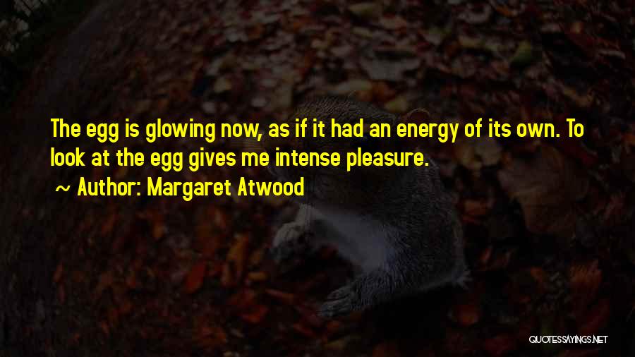 Intense Look Quotes By Margaret Atwood