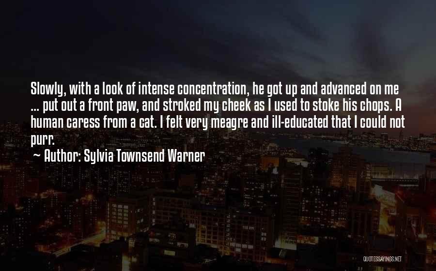 Intense Look Quotes By Sylvia Townsend Warner