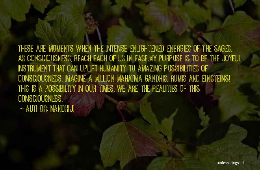 Intense Moments Quotes By Nandhiji