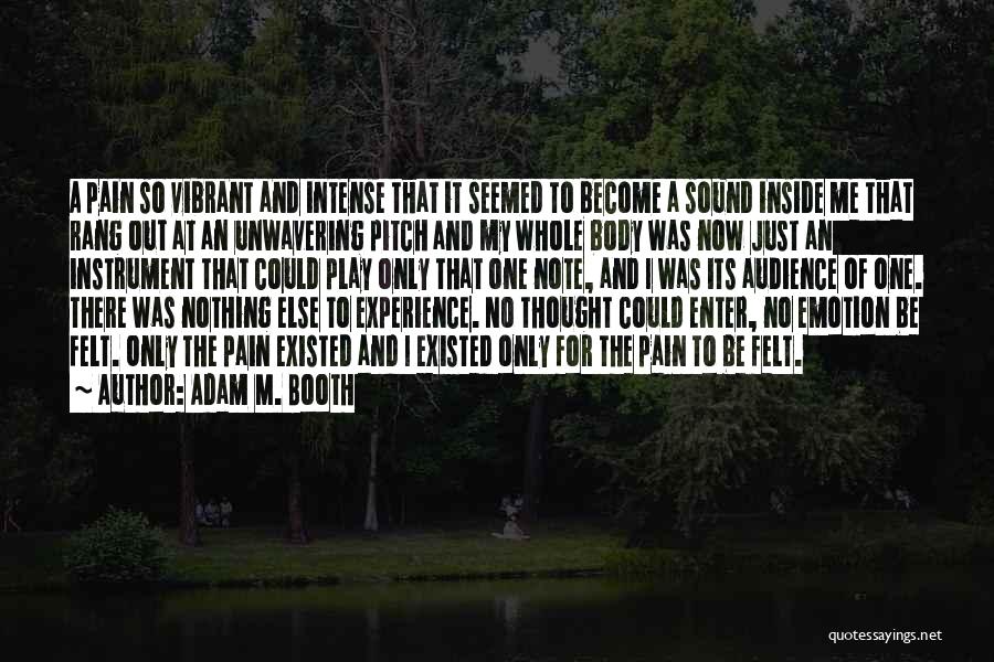 Intense Pain Quotes By Adam M. Booth