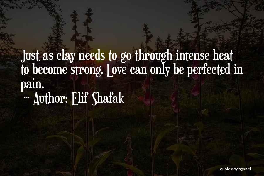 Intense Pain Quotes By Elif Shafak