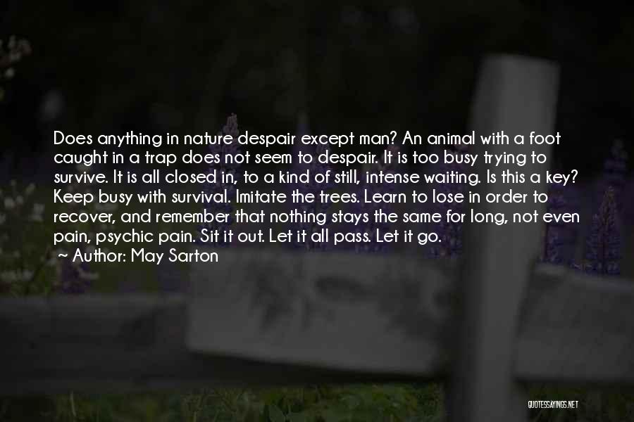 Intense Pain Quotes By May Sarton