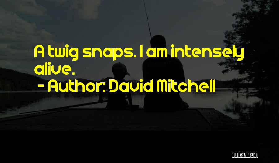 Intensely Quotes By David Mitchell