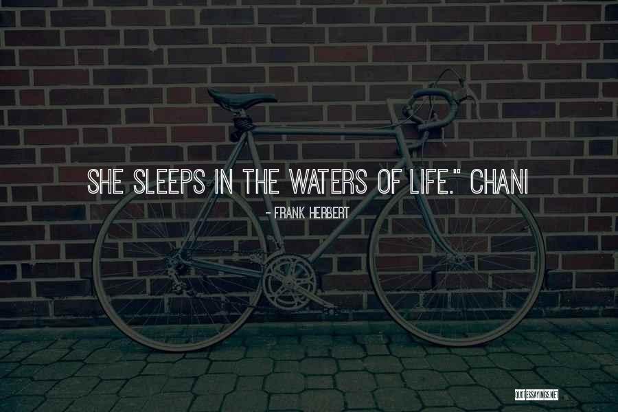 Intensestepworkout Quotes By Frank Herbert Intensestepworkout Quotes By Frank Herbert