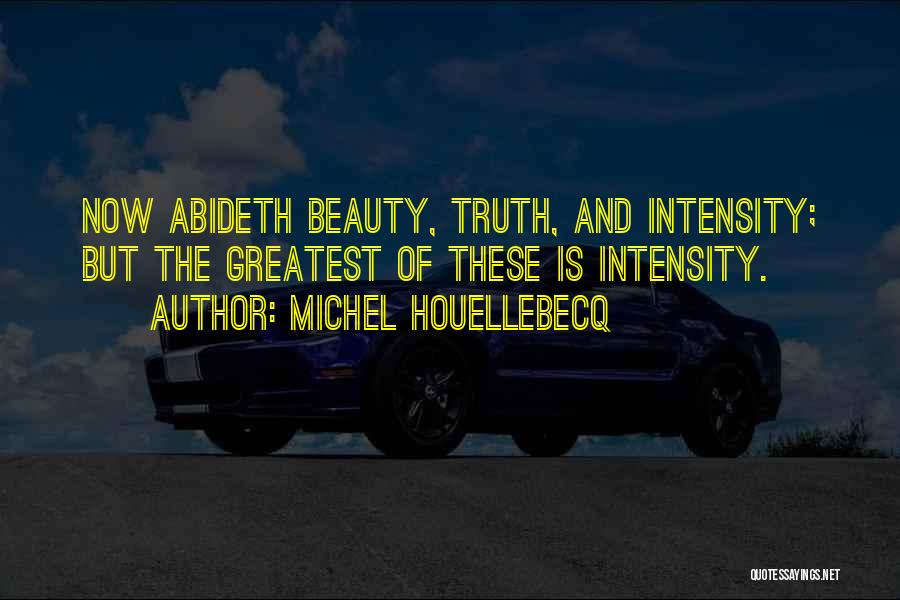 Intensity Quotes By Michel Houellebecq