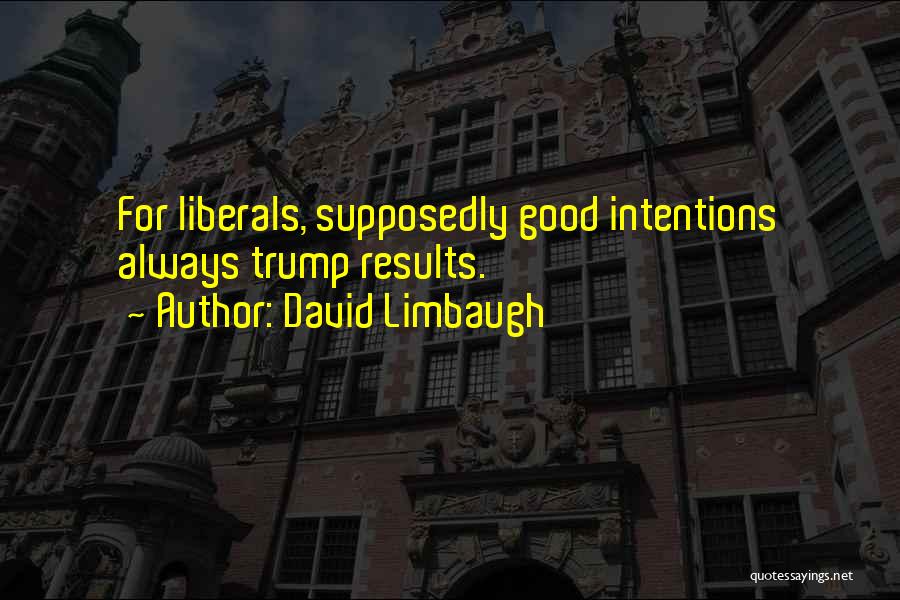 Intentions Quotes By David Limbaugh