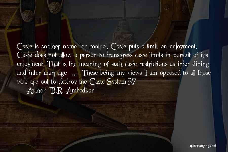 Inter Caste Marriage Quotes By B.R. Ambedkar