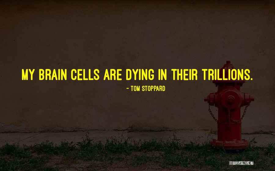 Interactiva Finishing Quotes By Tom Stoppard Interactiva Finishing Quotes By Tom Stoppard