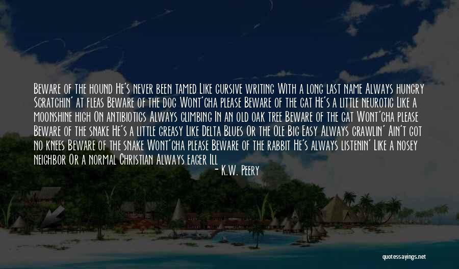 Interactivity The Interactive Experience Quotes By K.W. Peery Interactivity The Interactive Experience Quotes By K.W. Peery