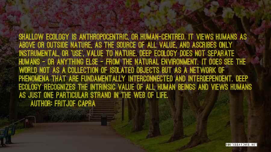 Interconnected Web Of Life Quotes By Fritjof Capra