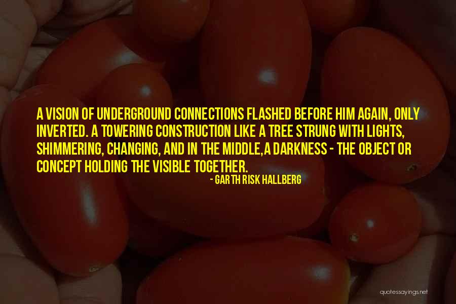 Interconnectedness Quotes By Garth Risk Hallberg Interconnectedness Quotes By Garth Risk Hallberg