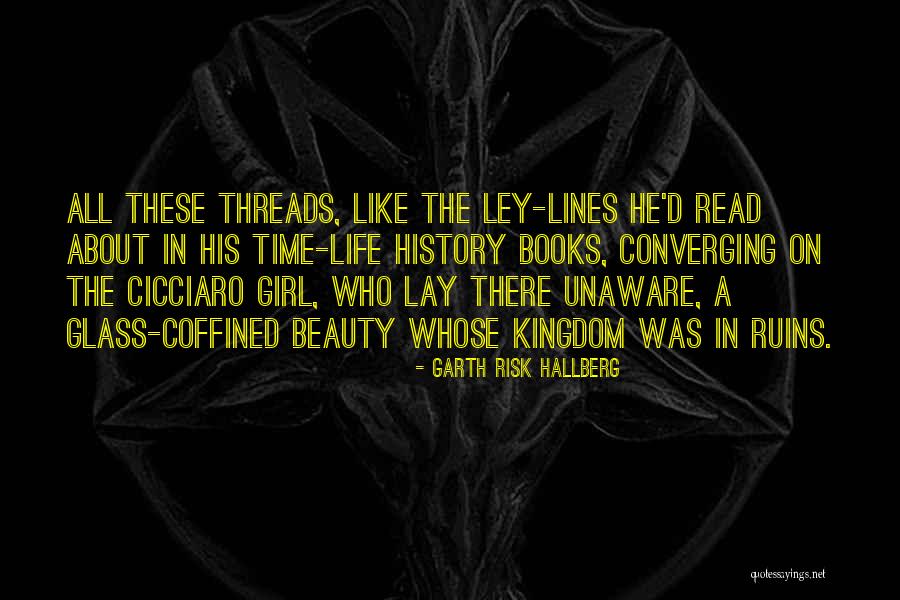 Interconnectedness Quotes By Garth Risk Hallberg Interconnectedness Quotes By Garth Risk Hallberg