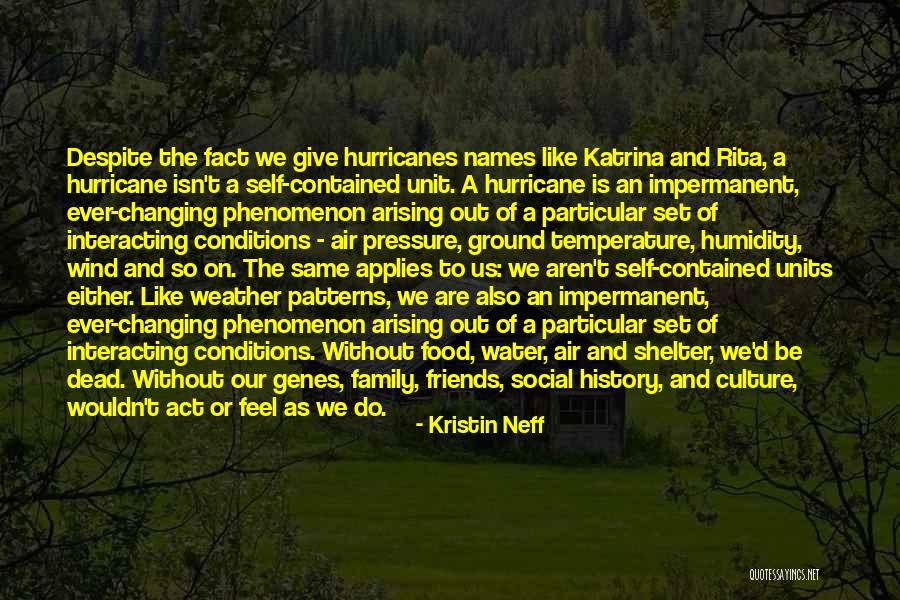Interconnectedness Quotes By Kristin Neff Interconnectedness Quotes By Kristin Neff