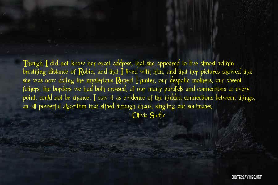 Interconnectedness Quotes By Olivia Sudjic Interconnectedness Quotes By Olivia Sudjic