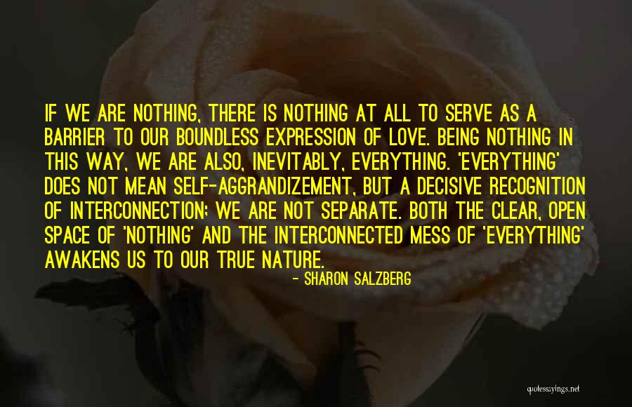 Interconnectedness Quotes By Sharon Salzberg Interconnectedness Quotes By Sharon Salzberg