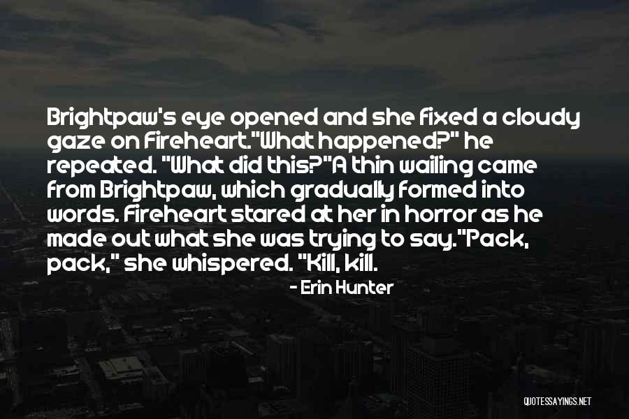 Interconnectservices Quotes By Erin Hunter Interconnectservices Quotes By Erin Hunter