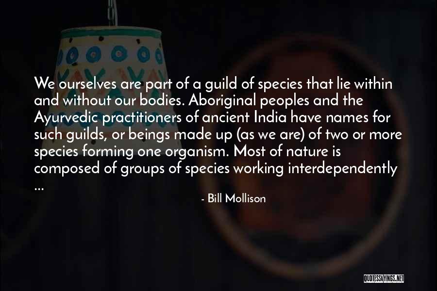 Interdependently Quotes By Bill Mollison Interdependently Quotes By Bill Mollison