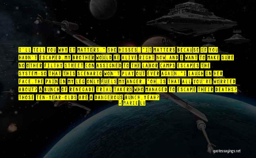 Interdigitating Quotes By Marie Lu Interdigitating Quotes By Marie Lu