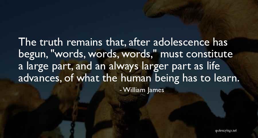 Interdisciplinarity Education Quotes By William James