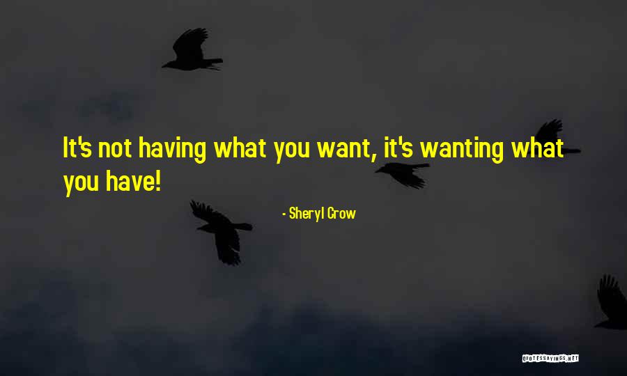 Interesseira Quotes By Sheryl Crow