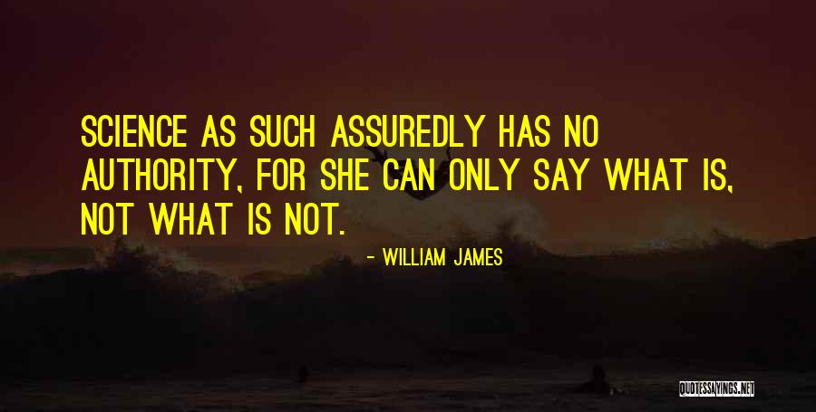 Interest Theories Quotes By William James Interest Theories Quotes By William James