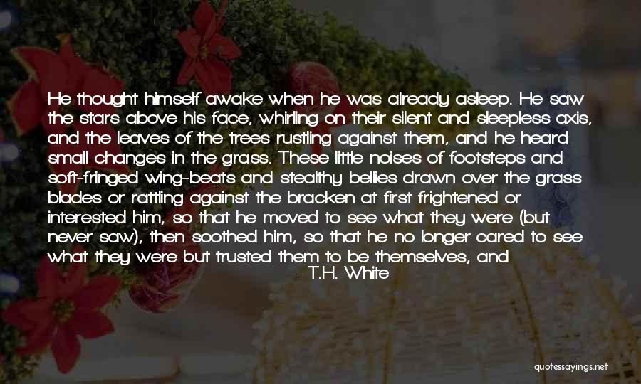 Interested In Him Quotes By T.H. White Interested In Him Quotes By T.H. White