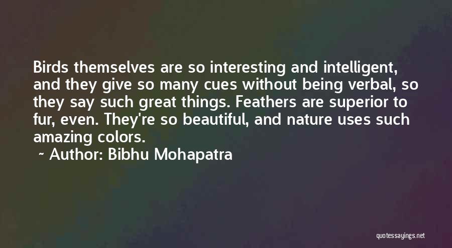 Interesting And Amazing Quotes By Bibhu Mohapatra