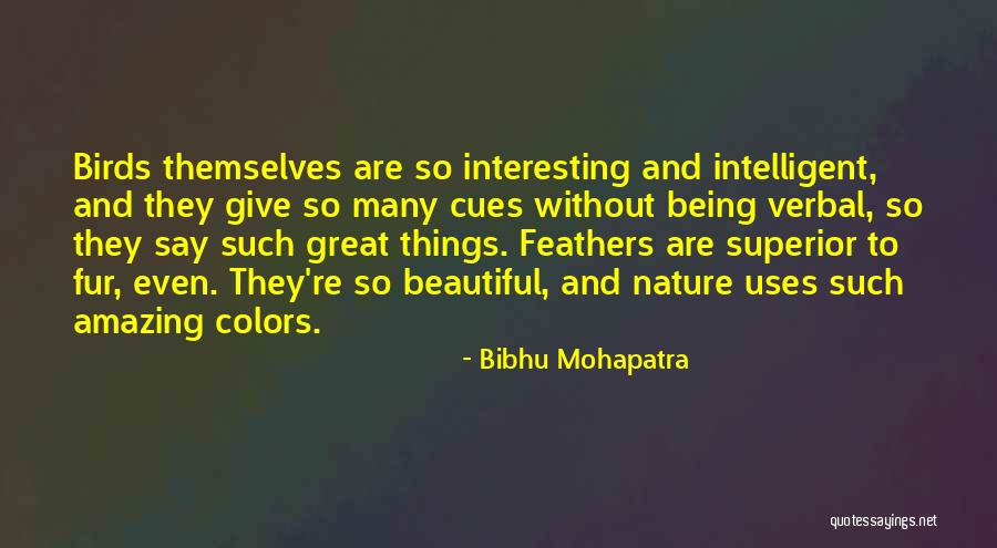 Interesting And Beautiful Quotes By Bibhu Mohapatra Interesting And Beautiful Quotes By Bibhu Mohapatra