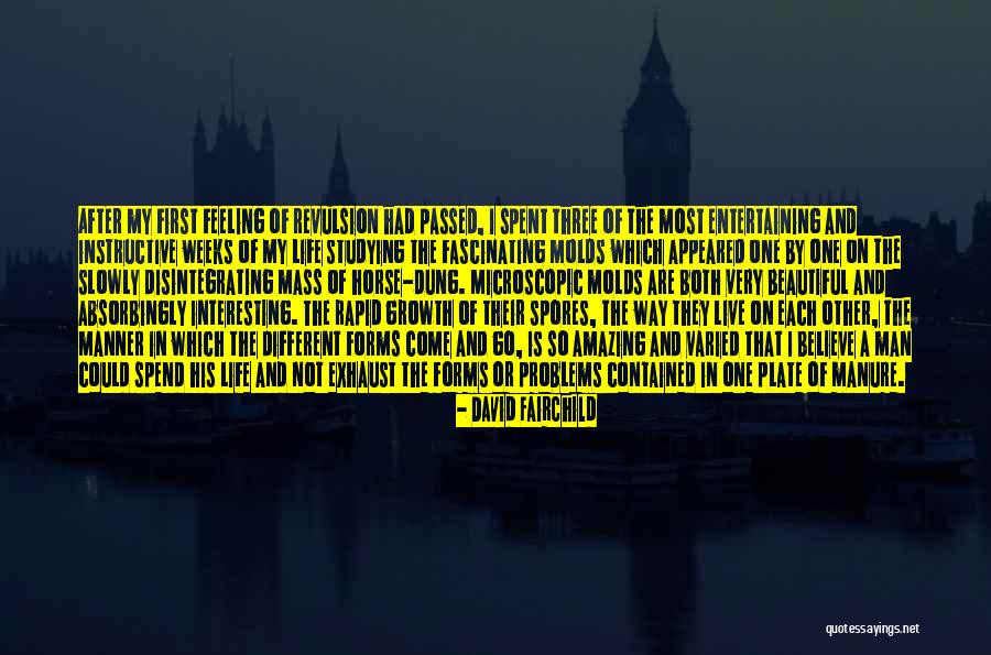 Interesting And Beautiful Quotes By David Fairchild Interesting And Beautiful Quotes By David Fairchild