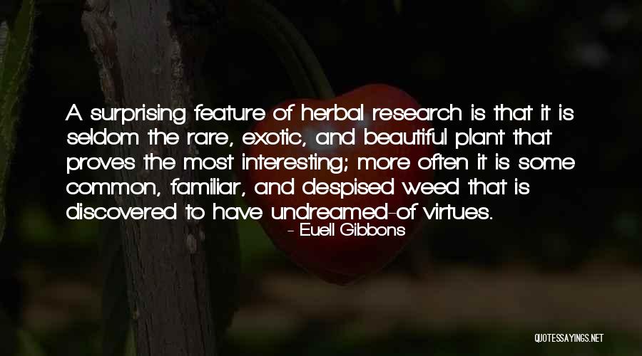 Interesting And Beautiful Quotes By Euell Gibbons Interesting And Beautiful Quotes By Euell Gibbons