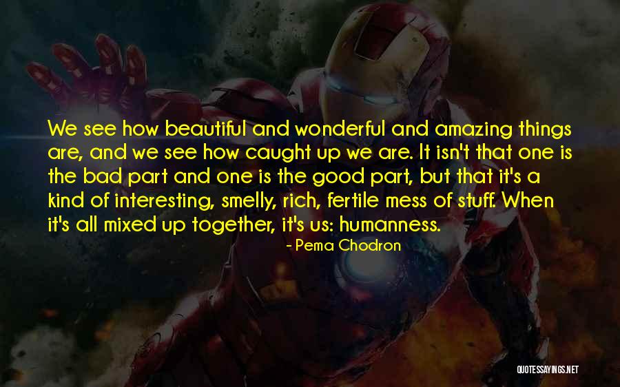 Interesting And Beautiful Quotes By Pema Chodron Interesting And Beautiful Quotes By Pema Chodron