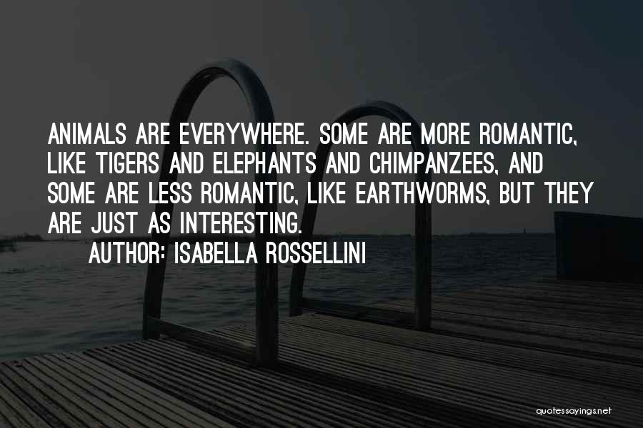 Interesting And Romantic Quotes By Isabella Rossellini