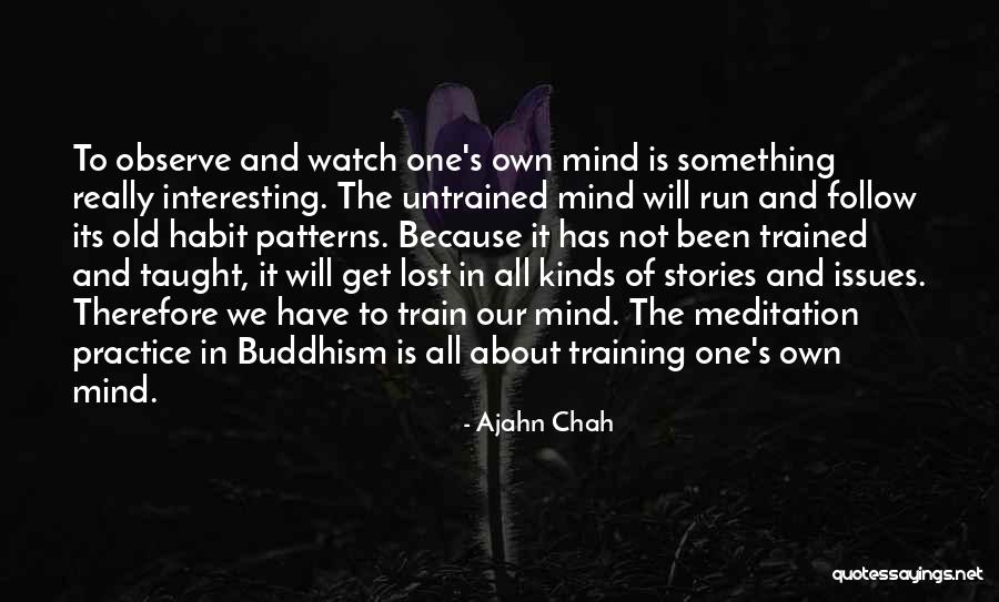 Interesting Stories Quotes By Ajahn Chah Interesting Stories Quotes By Ajahn Chah