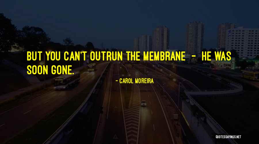 Interestingly In A Sentence Quotes By Carol Moreira Interestingly In A Sentence Quotes By Carol Moreira