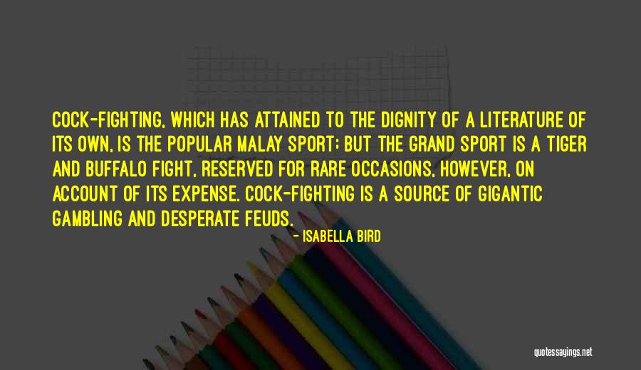 Interestingly In A Sentence Quotes By Isabella Bird Interestingly In A Sentence Quotes By Isabella Bird