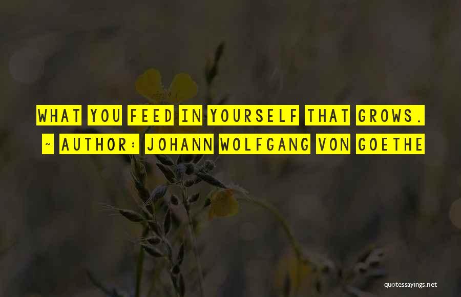 Interests And Hobbies Quotes By Johann Wolfgang Von Goethe