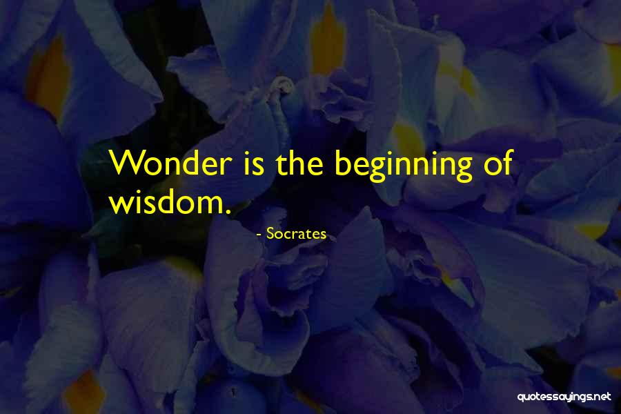 Interferences Destructives Quotes By Socrates Interferences Destructives Quotes By Socrates